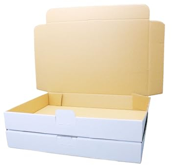 100 Maxibriefkartons Versandkartons Faltschachtel Faltkarton Maxibriefversand (Weiß, MB5-320x225x50 mm (Innen 310x220x47mm))