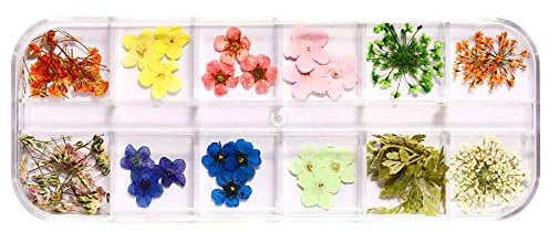 1 Box Dried Flowers for Nail Art Dried Flowers Green Leaves Accessories Real Flowers for Nails