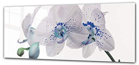 ConceptCrystal Glasbild Wandkunstwerk 125 x 50 cm – Orchidee 10