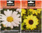 Marg. Gigante blanca Leucantemum & Girasol enano amarillo