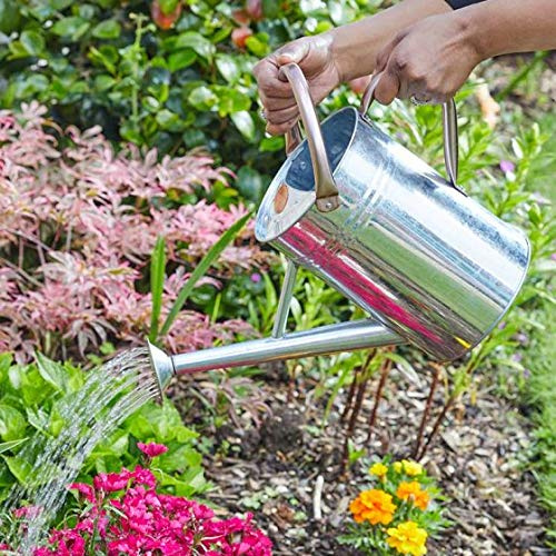Garden Mile Arrosoir en acier pour intérieur et extérieur - Bordures de pelouse, jardinières de terrasse, paniers légers à main avec rose (acier, 9 l)