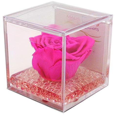 rosa vera fucsia, regalo festa pensiero cerimonia, dura per sempre, stabilizzata profumata cubo 8x8x8 plexiglass