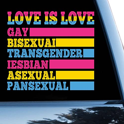 Pansexuelles LGBTQ Auto-Aufkleber, Fensteraufkleber, Love is Love Gay Bisexuai Transgender, Vinyl-Aufkleber für Autos, LKWs, Gay-Pride, LGBT-Gleichheit, Lesben-Auto-Aufkleber, 38,1 cm