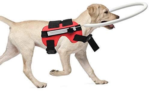 Blind Dog Harness, MYFZ02 Blind Pet Adjustable Anti-Collision Circle Blind and Poor Vision Dogs Safe Guide Dog Protective Harness Vest Ring (S)