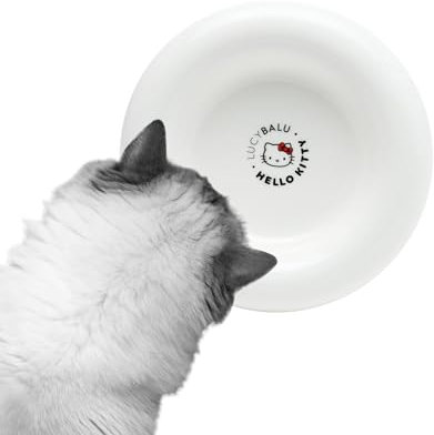 LucyBalu X Hello Kitty Drop gamelle pour Chat en Porcelaine | gamelle surélevée | gamelle d'eau pour Chat | gamelle en Porcelaine surélevée | gamelle d'eau pour Chat | gamelle Ergonomique| Blanc