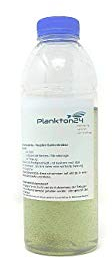 Plankton24 Lebendfutter Artemia Salina - Nauplien Salinenkrebse 100g Zooplankton für Fisch, Erwachsene