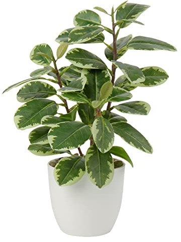 Plantas Artificiales de 22 cm en macetas para la decoración del hogar Planta de Interior de Camelia Artificial, arreglos Florales Decoración del hogar y la Oficina Bonsai de Escritorio