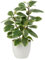 Plantas Artificiales de 22 cm en macetas para la decoración del hogar Planta de Interior de Camelia Artificial, arreglos Florales Decoración del hogar y la Oficina Bonsai de Escritorio