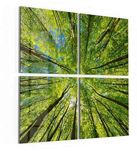 DEQORI Glasbilder Echtglas | Motiv Blick durch Baumkronen | quadratisch 4-teilig 100x100 cm | große XXL Deko | Wandbilder für Wohnzimmer, Schlafzimmer, Flur & Küche | moderne Wanddeko