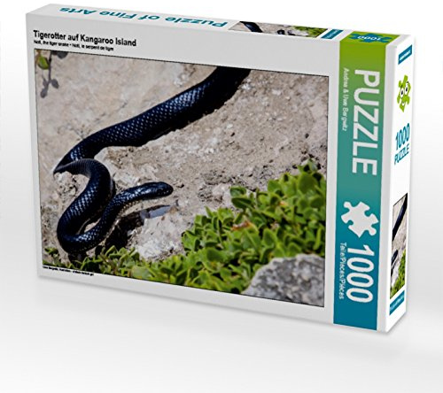CALVENDO Puzzle Tigerotter auf Kangaroo Island | 1000 Teile Lege-Größe 64 x 48 cm Foto-Puzzle für glückliche Stunden