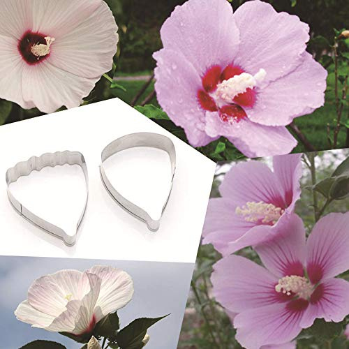 Lot de 2 moules en acier inoxydable en forme de pétales de fleur d'hibiscus