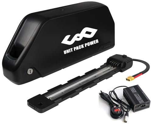 Hailong Batterie de vélo électrique au Lithium 48V 24Ah (21700 cellules) pour Une Utilisation en Montagne, Tricycle ou vélo électrique, offrant Une capacité accru