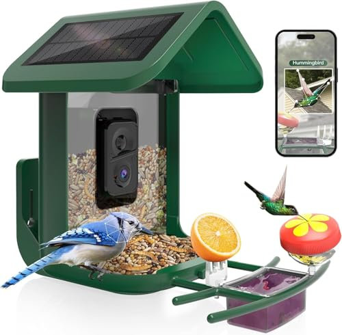 Bird Feeder with Camera Solar Powered : Smart Camera Bird Feeder 2K Live Feed Cam for Backyard - AI Identify Auto Capture Videos Pictures, Gifts for Birdlover Mom Dad, 2.4GHz WiFi