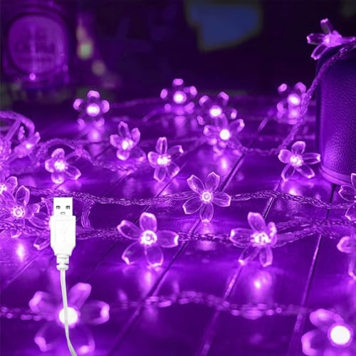 Kaleora Kirschblüten Lichterkette mit USB, 6M 40 LED Lila Lichterkette Blumen, USB-Betrieb, Kirschblüten Lichterketten für Weihnachten, Hochzeit, Garten, Innen, Bäume, Party Deko