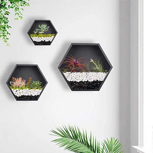 KnikGlass 3 Stück/Set Hexagon Wandvasen Deko Übertopf für Zimmerpflanzen Sukkulenten Luftpflanzen Kakteen Kunstpflanzen und Mehr, Metall (Schwarz)