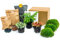 urbanjngl.com - Flaschengarten Paket Farn - 3 Pflanzen - Nachfüll & Starterpaket DIY - Pflanzenterrarium Nachfüllset - Pflanzen-Terrarium-Paket - Terrarium