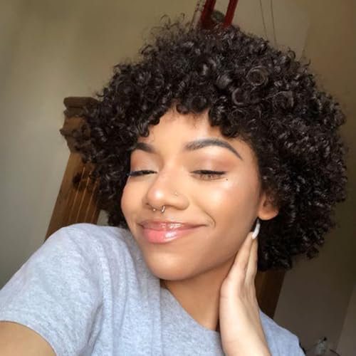 DÉBUT Curly Perücke 100% Echthaar Perücke für Frauen mit großen Bouncy Haar Afro Curly Perücke Pixie Cut Perücke brasilianischen Remy Haar (20 cm, 2)