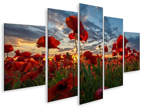 islandburner Bild auf Leinwand Roter Mohn im Sonnenuntergang mit dramatischem Himmel Bilder Wandbilder Poster