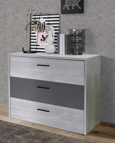 Forte LEONARD Sideboard mit 3 Schubladen, Holzwerkstoff, Nordic Grau Eiche/Grau Matt, B x H x T: 99,8 x 79,9 x 41,5 cm