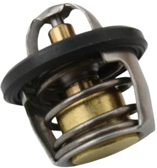 Fly100 - Termostato dell'acqua compatibile con Beverly Carnaby Hexagon GTX MP3 X7 X8 X9 125 150 200 250 300 82831R 82831R5 Ricambio universale aftermarket