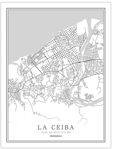CUNNVN LA CEIBA Schwarz-Weiss 3d Drucken Abstraktes Kunstkartenplakat Geeignet für Wohnzimmer, Schlafzimmer, Kinderzimmer, Schule, Wohnheim-Wanddekorationsmalerei 40x60 cm
