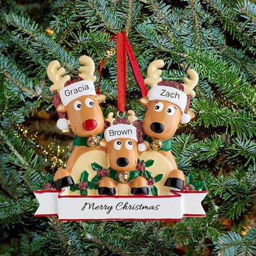 Ornamento Personalizzato per Albero di Natale dei Cervi Famiglia di 2,3,4,5,6,7,8 Nome Carino Babbo Natale Renna 2024 Decorazione Natalizia Regalo di Natale, Famiglia di 3