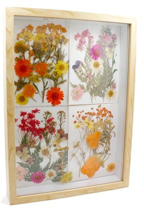 CiciIng 3D Bilderrahmen zum Befüllen, A4 Holz Bilder Rahmen mit Transparente Acrylplatte, Objektrahmen Tiefer für Foto Blumen Erinnerungsstücke DIY Kunstwerke (Holzfarbe)