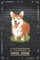 Kalender 2023-2024: Hund, Hundemotiv A5 (6x9), Softcover | 1 Woche auf 2 Seiten | mit Monatsübersicht, Feiertagsliste & Kontakttabelle | Tiere | qd1