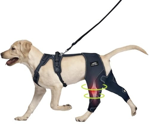 Furtent Dog Knee Brace for Torn ACL Hind Leg - Keeps Joints Warm and Stable, Upgraded Adjustable Leg Support (XL (Standard), Classic Knee Brace)