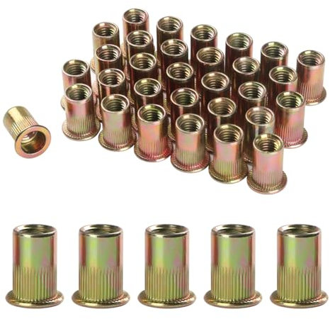 BOUMVID 100 Pezzi M6 Dado per Rivetto in Zincato Acciaio al Carbonio, Dadi a Crimpare Placcati in Zinco, Filettato Inserti Testa Piatta Rivet, Rotondi Rivetti Ciechi con Filettatura Filettati