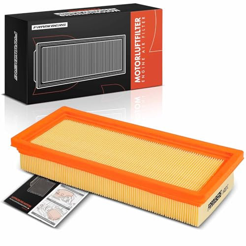 Frankberg Cartuccia filtrante Compatibile con 169 1.2 Punto Furgone/Compatto 188 1.2 60 169 1.1 Ypsilon 843 1.2 169 1.2 4x4 Replace# CA9629,C2872