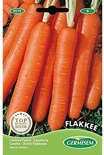 Germisem Flakkee Semillas de Zanahoria 10 g