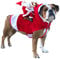 PETCUTE Weihnachten Hundebekleidung,Hundebekleidung,Weihnachts Haustier Kleidung für Kleine Mittlere Große Hunde Katze,Weihnachtshundekostüm,Ideal für den Winter,Weihnachten Hundemantel