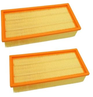ViseNt Filtre Hepa for aspirateur Karcher 6.904 – 283.0 NT 65/2 Eco/NT 72/2 Eco/NT 72/2 TC/NT 75/2 AP/NT 75/2 Ment 75/2 TC (Color : 2pcs)