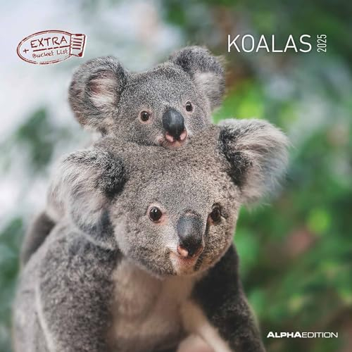 Alpha Edition - Koalas 2025 Broschürenkalender, 30x30cm, Wandkalender mit Platz für Notizen und Termine, Motive von süßen Koalas, Monatsübersicht und Ferientermine DE/AT/CH