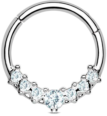 Stachelkleid Ring 7 Zirkonia Clicker Nasenringe Septum Ohrpiercing Helix Knorpel Piercing Schmuck Silber/Klar, 8 mm