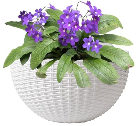 Wand-Blumentopf, schöner Wand-Pflanzgefäß, halbrunde Pflanzkörbe, europäischer Stil, Rattan-Imitat, halbrund, Wand-Blumentopf, Wanddekorationen für Balkon, Zaun, Heimbüro, 21,6 x 16,3 cm, Weiß