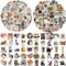 Lustiges Katzen Aufkleber Set, 100 Stück Cute Katzen Sticker, Lustige Meme Sticker wasserfeste Vinyl Aufkleber ästhetische Aufkleber für Katzenliebhaber Wasserflaschen Sammelalbum Telefon