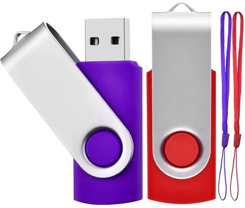 Lot de 2 Clé USB 16 Go USB 2.0 Mémoire Flash Drive Clef USB Pivotantes avec Cordes Bon Cadeau pour Enfant Parents et Amis (16G, Rouge/Violet)