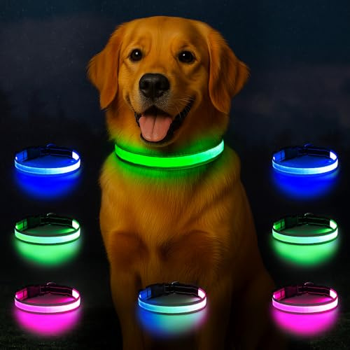 Light Up Dog Collar USB-C Rechargeable, Reflective Glow in The Dark Dog Collar with 7 Lighting Modes, Adjustable LED Pet Collar for Night Safety with Battery Indicator (Medium)