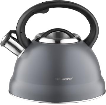 FLORINA Hervidor de Agua (2,5 l) I Tetera de Acero Inoxidable JACOB I Mango de Baquelita I Sonido de Silbato I Tetera Inducción para Té y Café I Adecuada para Todo Tipo de Cocinas I Color: Gris