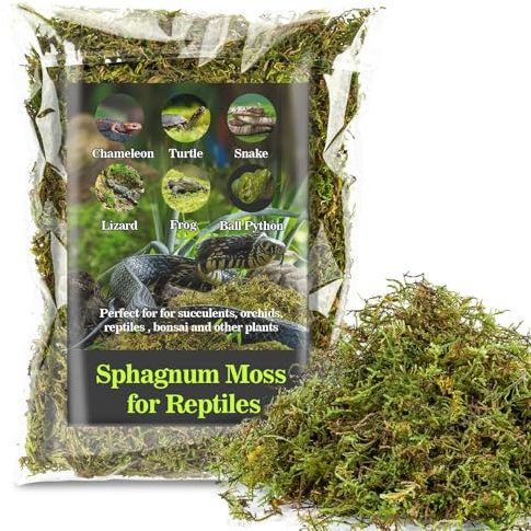 Sukh Mousse de sphaigne pour reptiles – 85 g – Mousse de terrarium pour reptiles – Mousse de tourbe pour reptiles, orchidées, habitats de reptiles, serpents, tortues, grenouilles, gecko et autres