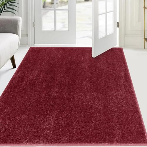 FCSDETAIL Tappeto Antiscivolo 120 x 180 cm, Zerbino d'Ingresso Interno | Antiscivolo Lavabile in Lavatrice, per Salotto, Cane, Porta e Corridoio
