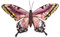 Primus Wandschmuck Schmetterling, Metall, mittelgroß, Rosa