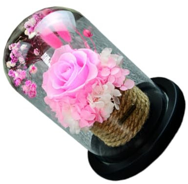 PRETYZOOM konserviertes Rosengeschenk schönes geschenk shöne bescherung The Gift edith eger erhaltene Rosenkuppel Kuppel erhaltene fertiges Produkt konservierte Geschenkbox Rosa