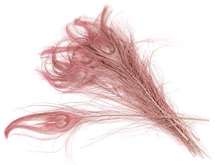 10 echte Pfauenfedern ca. 25-30cm (altrosa 158) // Pfau Federn Natur Auge Deko Pfauenaugen Schmuck