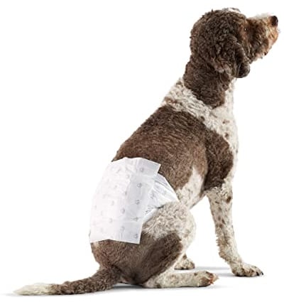 Amazon Basics Hundewindel für Rüden, Einwegwindeln, Größe L, Weiß, 50 Stück
