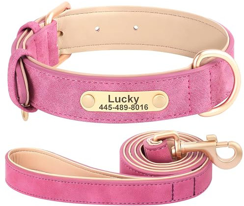 SEOUGEE Ensemble collier et laisse personnalisés en cuir pour chien de petite, moyenne et grande taille - Collier rembourré et souple pour chiens de petite, moyenne et grande taille (L, ensemble rose,