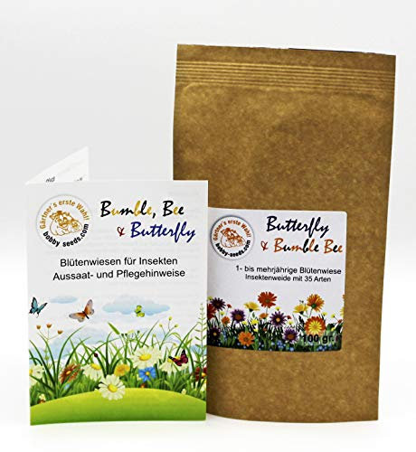 Bienenweide Butterfly & Bumble Bee von bobby-seeds, mehrjährige Blumenmischung und Insektenweide mit 15 Arten 100 Gramm