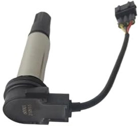 Zündspule Zündungen Für Keeway RKX300 RK6 600 Motorrad Zündspule Motor Teile